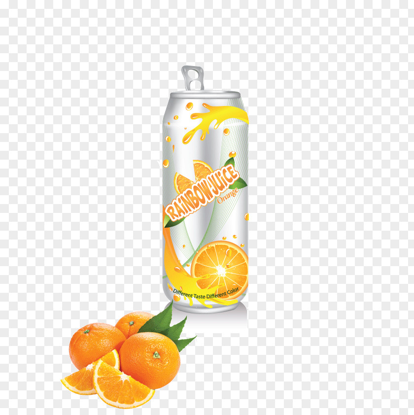 Juice Clementine Orange Soft Drink PNG