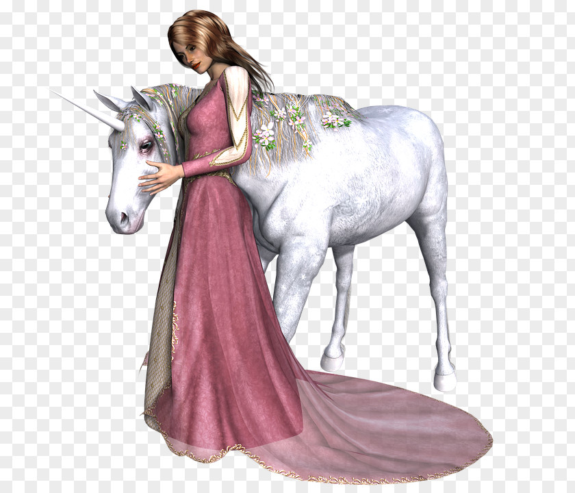 Unicorn Mermaid Fairy Tale Horse PNG