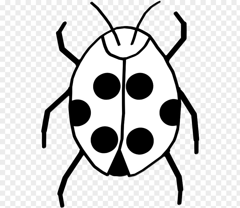 Beetle Ladybird Clip Art Black And White Image PNG