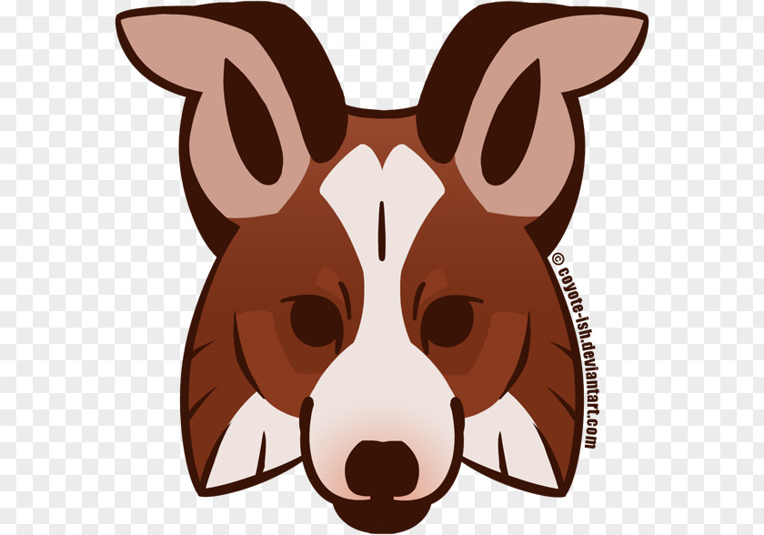 Coyote Dog Breed Border Collie Rough Blog Snout PNG