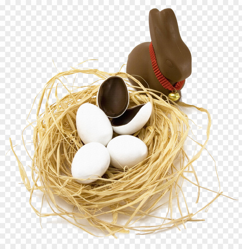 Egg Easter Bunny Royalty-free Stock Photography Stock.xchng PNG