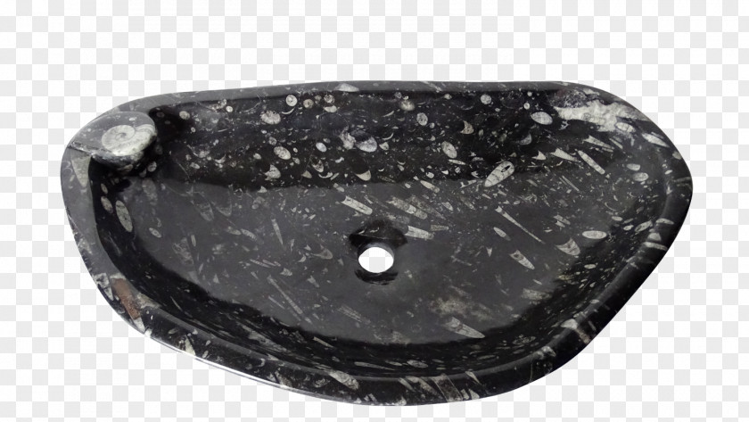 Marmer Fossil Orthoceras Marble Turner Syndrome Black M PNG