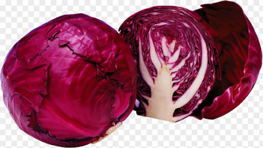 Beet Cabbage Red Pink Purple Magenta Vegetable PNG