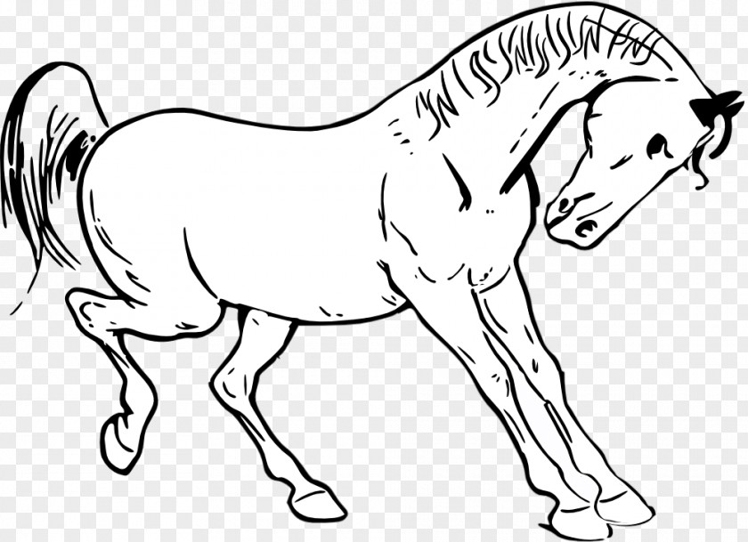 Kangaroo Outline Tennessee Walking Horse Show Jumping Clip Art PNG