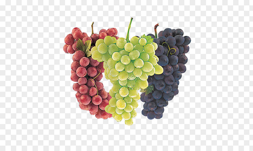 Trebles Grapes Common Grape Vine Wine Juice Cultivar PNG
