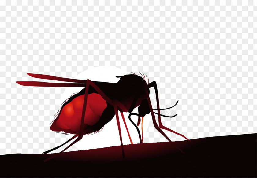 Vector Cartoon Creative Lifelike Flies Mosquito Net Insect Zika Virus Hematophagy PNG