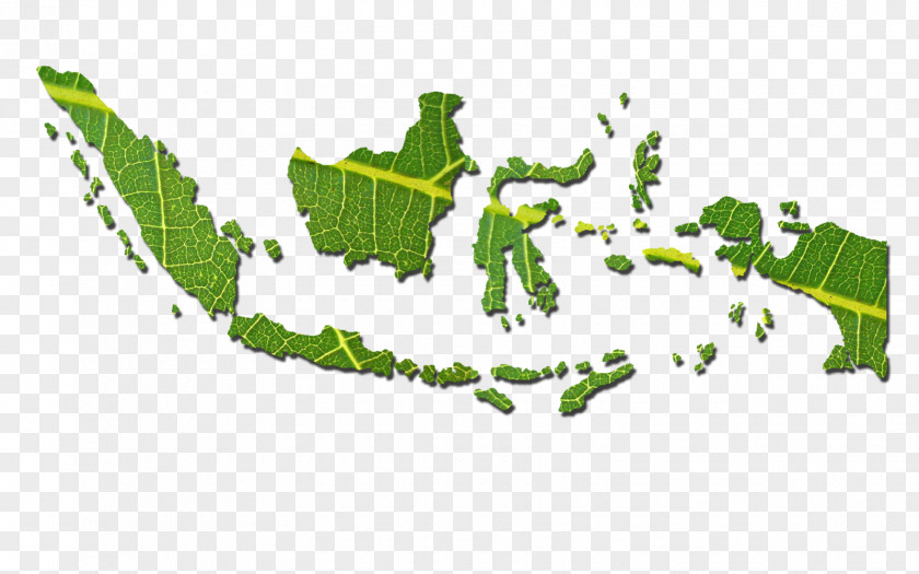 World Map Bali Atlas PNG