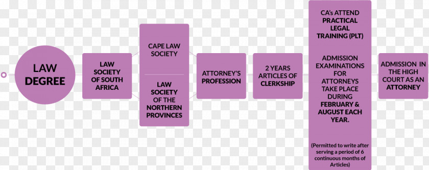 African Landscape Werksmans Lawyer Court Law Society PNG