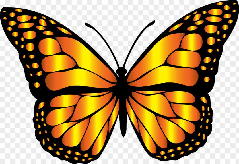 Butterfly Clip Art Monarch Insect PNG