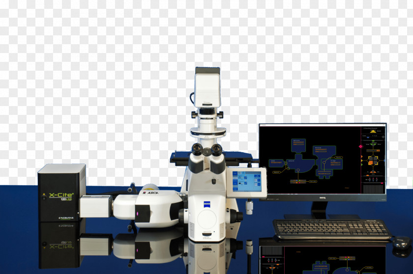 Microscope Confocal Microscopy LASIK PNG