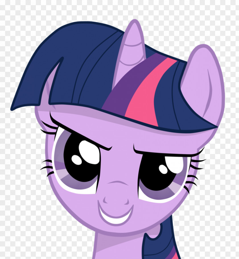 My Little Pony Twilight Sparkle Pinkie Pie Rainbow Dash Spike Rarity PNG