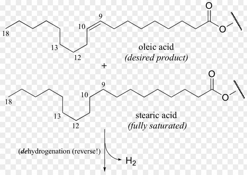 Reversible Reaction Symbol Linoleic Acid Hydrogenation Alpha-Linolenic PNG