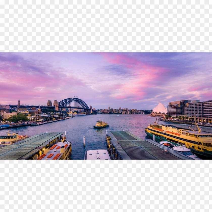 Sydney Opera House Landscape Photography Panorama Cityscape PNG