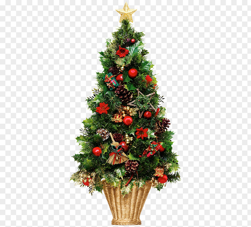 Christmas Decoration Elements Tree Day Clip Art Lights PNG