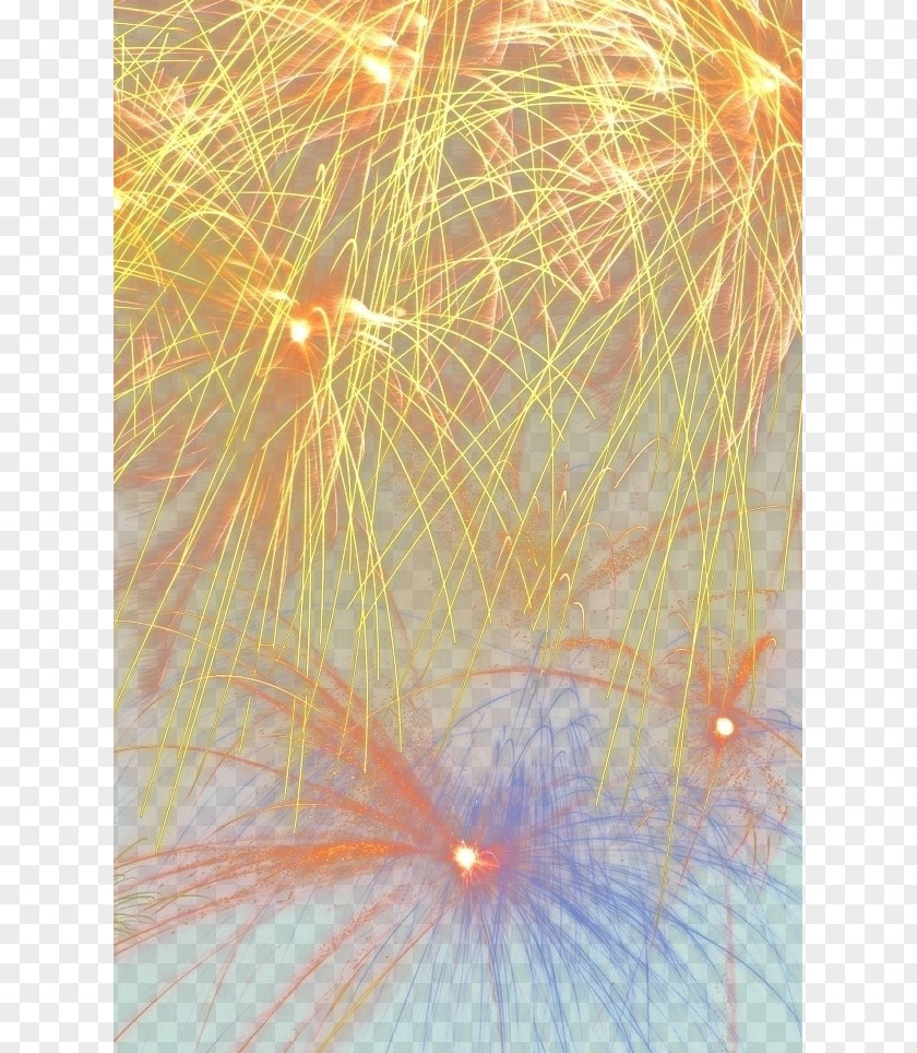 Fireworks Download Icon PNG