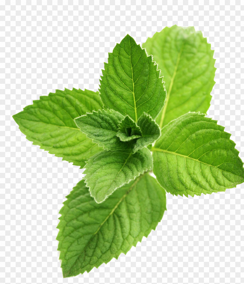 Menthol Juice Peppermint Flavor PNG