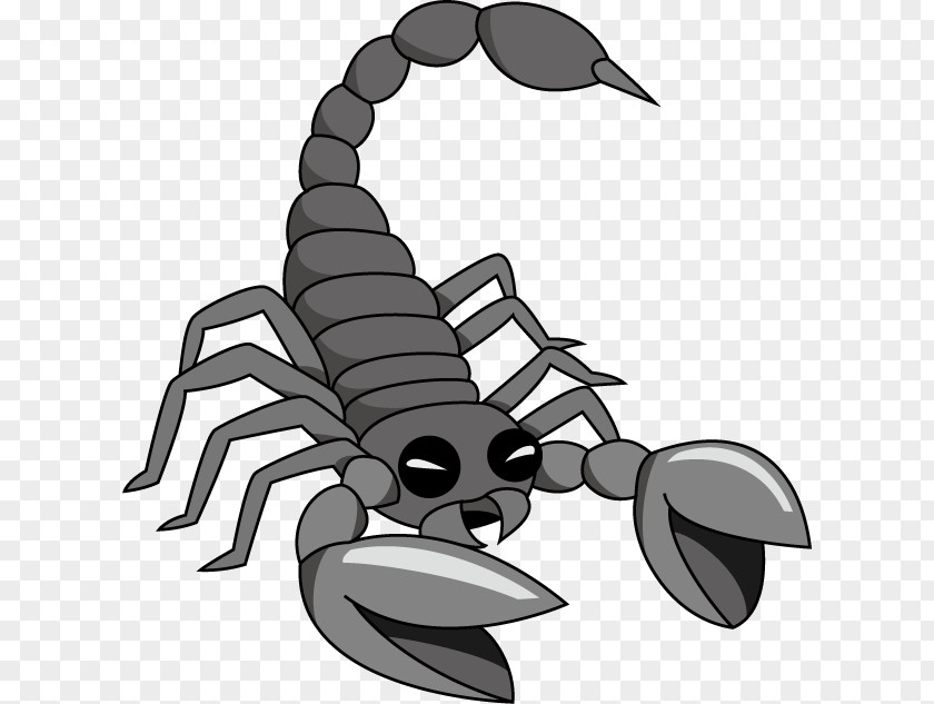 Scorpion Insect Oneiromancy Ant Clip Art PNG