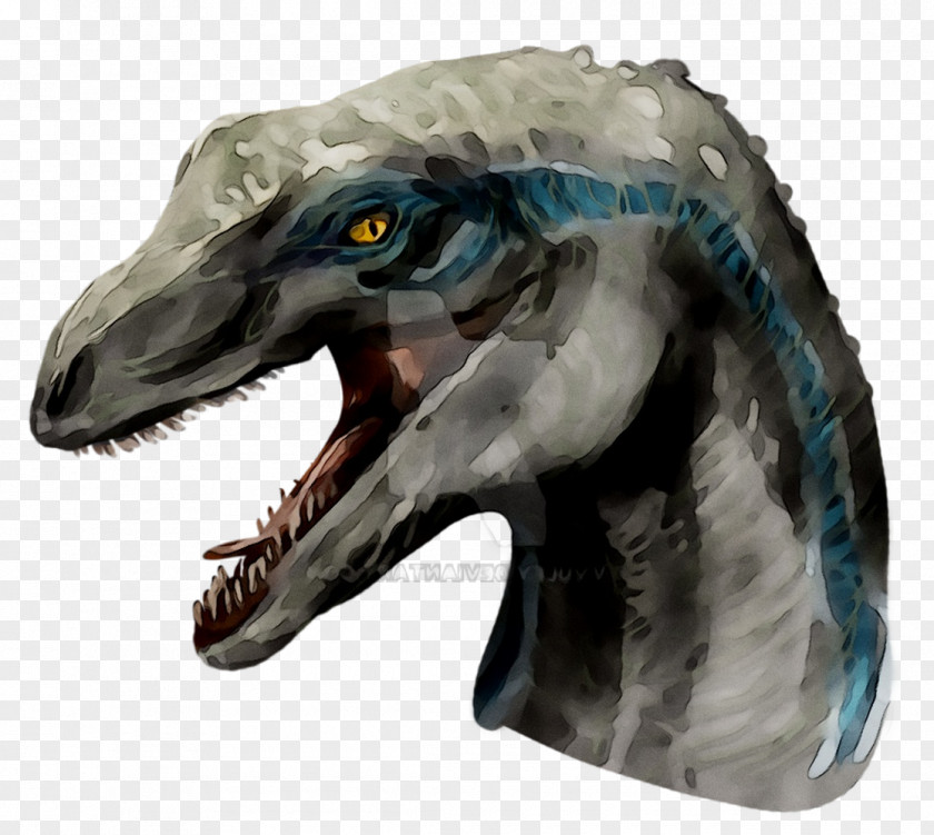 Velociraptor Tyrannosaurus Jaw Beak PNG