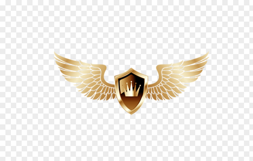 Wings Shield Gold Download Alas De Oro Clip Art PNG
