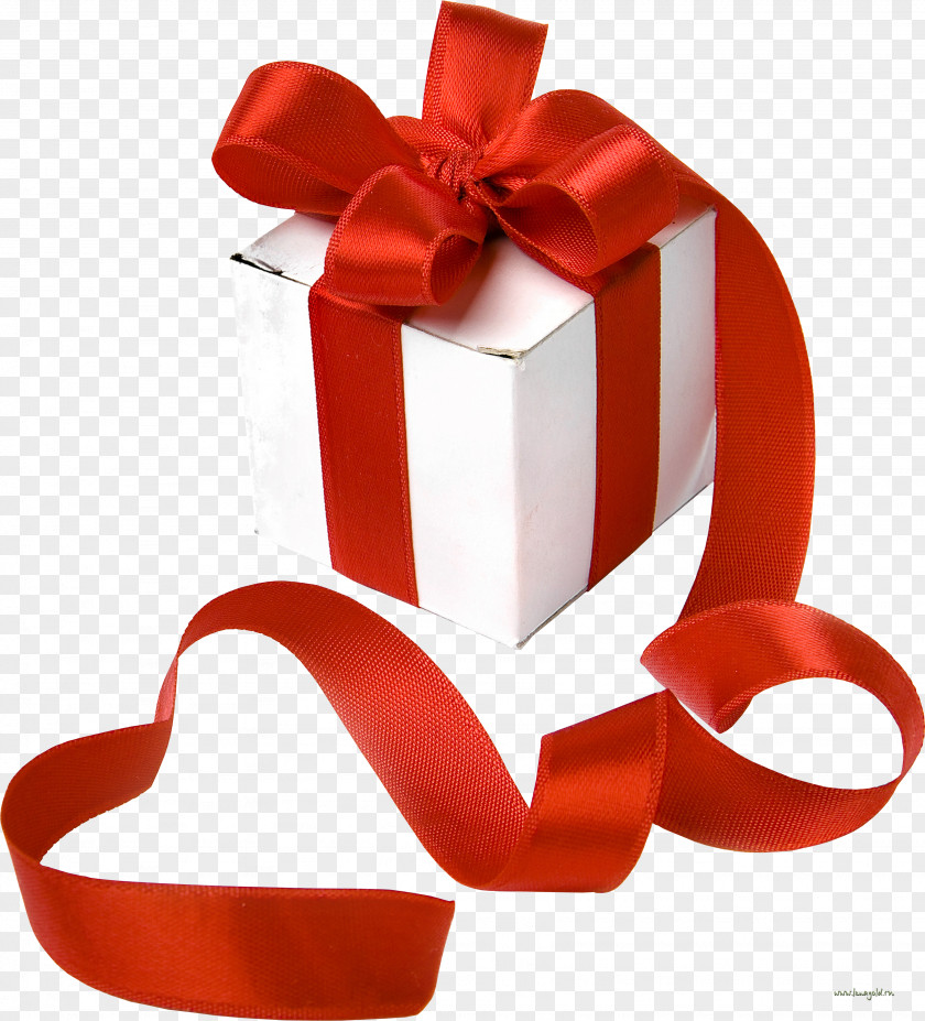 Birthday Present Christmas Gift Ribbon Clip Art PNG