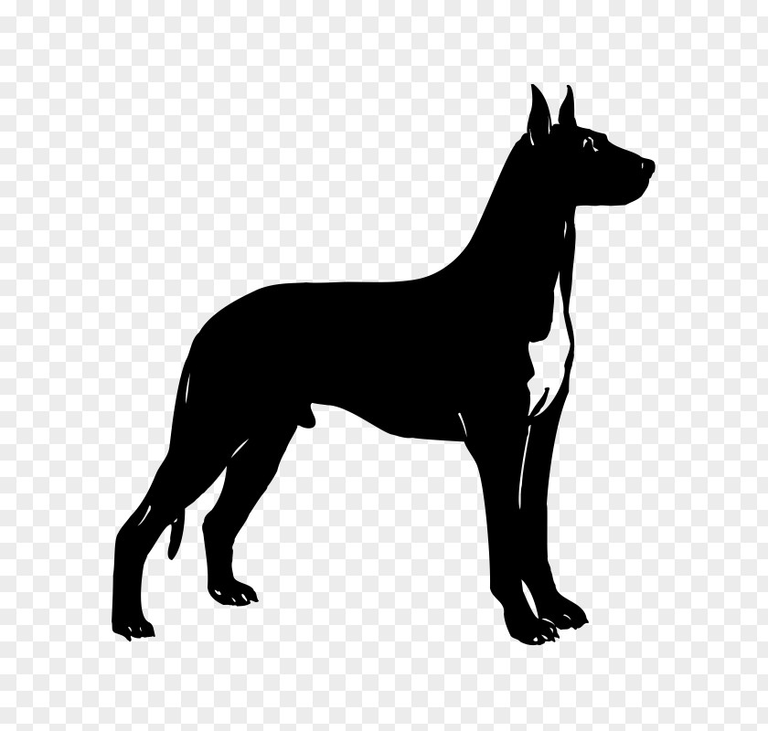 Cat Dobermann Dog Breed Clip Art PNG