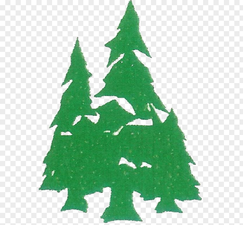 Christmas Tree Spruce Social Media Fir PNG