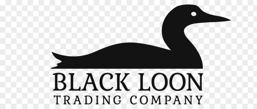 Duck Goose Logo Loons Beak PNG