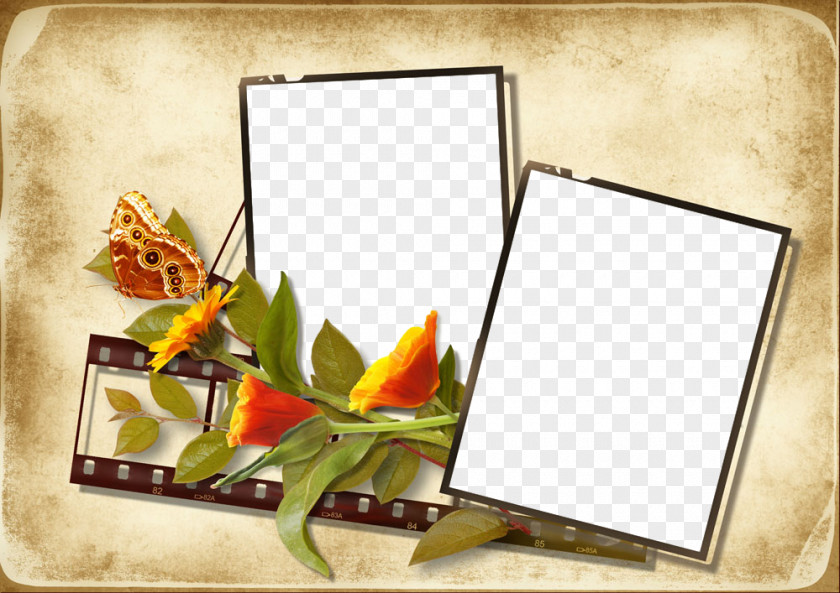Flower Paper Picture Frame PNG
