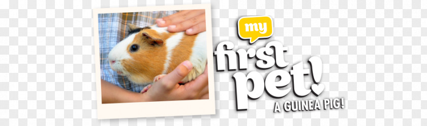 Guinea Pig Cages Logo Advertising Pet Brand Font PNG
