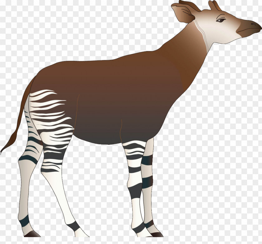 Hand-painted Deer Cabrito Goat Okapi Giraffe PNG