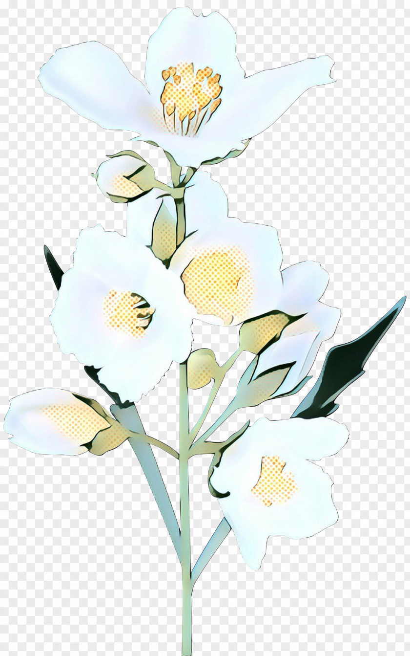 Ixia Iris Flower Flowering Plant Cut Flowers Pedicel PNG