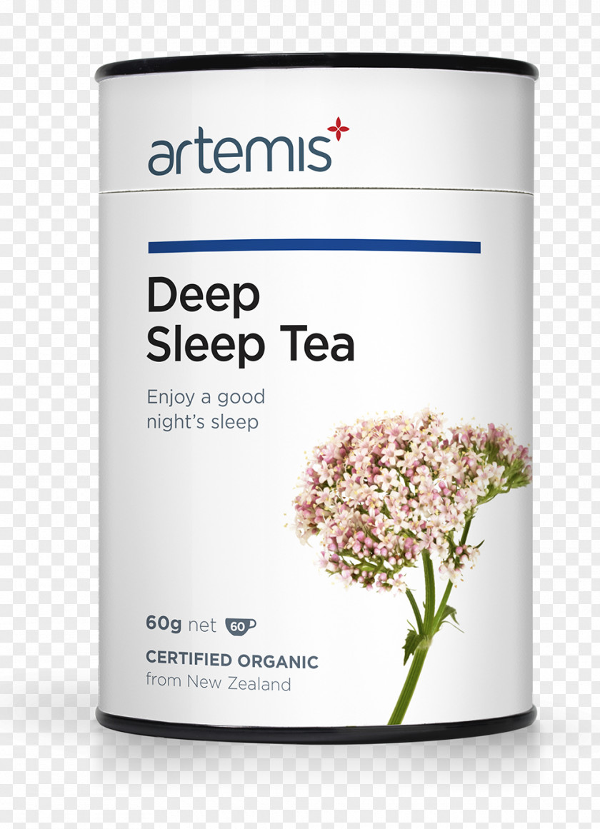 Tea Herbal Health Sleep Detoxification PNG