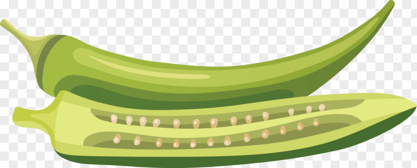 Vector Vegetables Food Illustration PNG