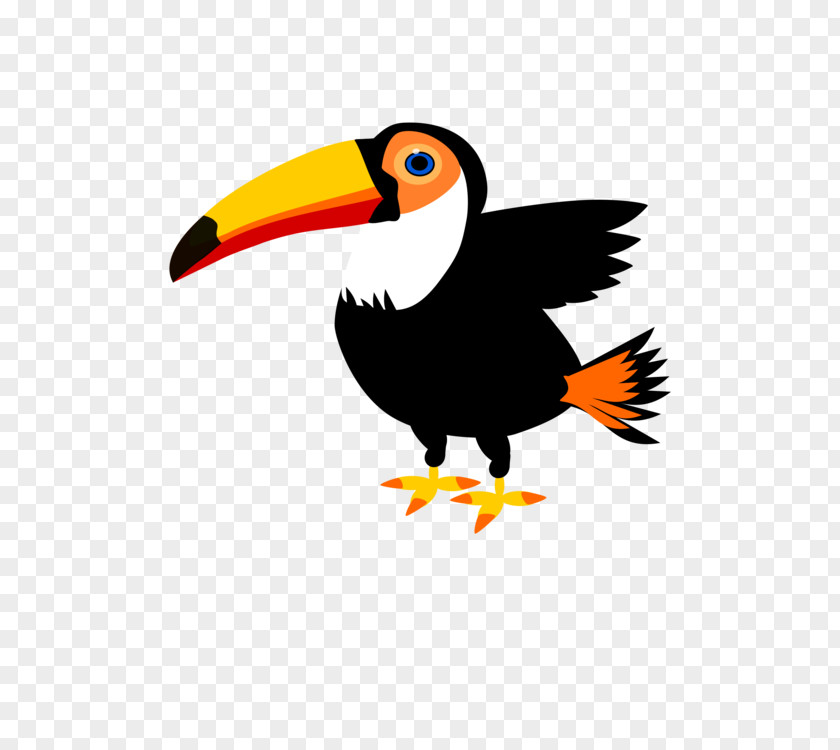Bird Clip Art Toco Toucan Openclipart PNG