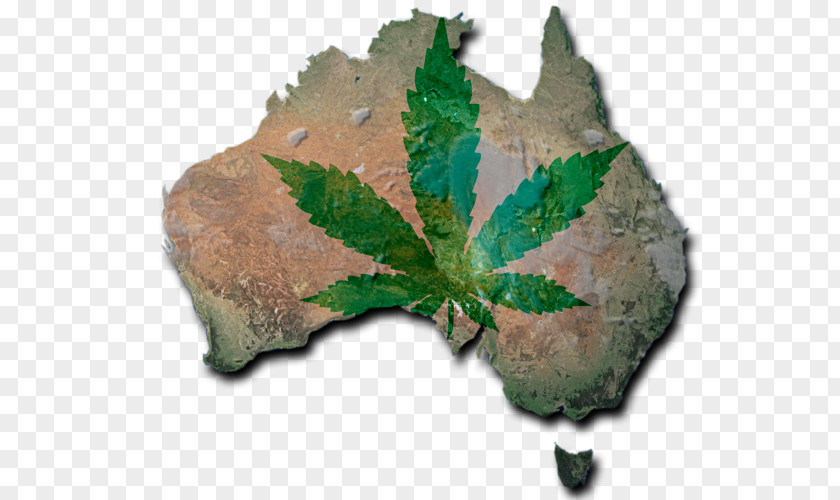 Cannabis Medical Norfolk Island World Map Flag Of Australia PNG