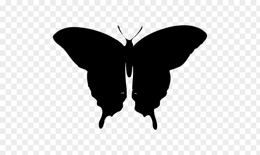 Clip Art Butterfly Image Silhouette Stock.xchng PNG