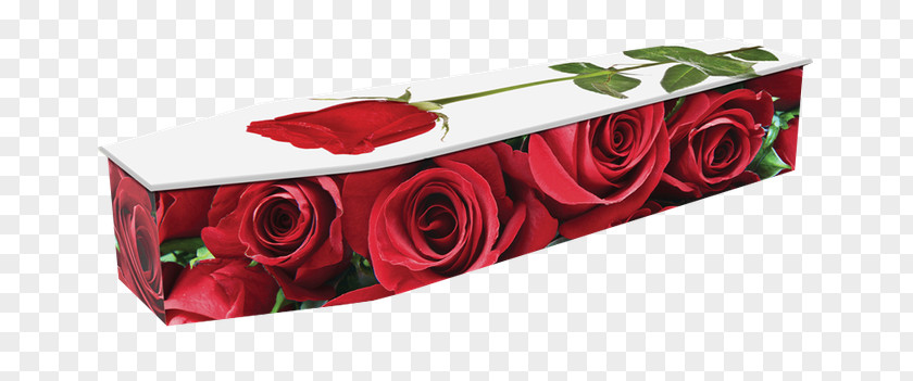 Funeral Coffin Director Home Rose PNG