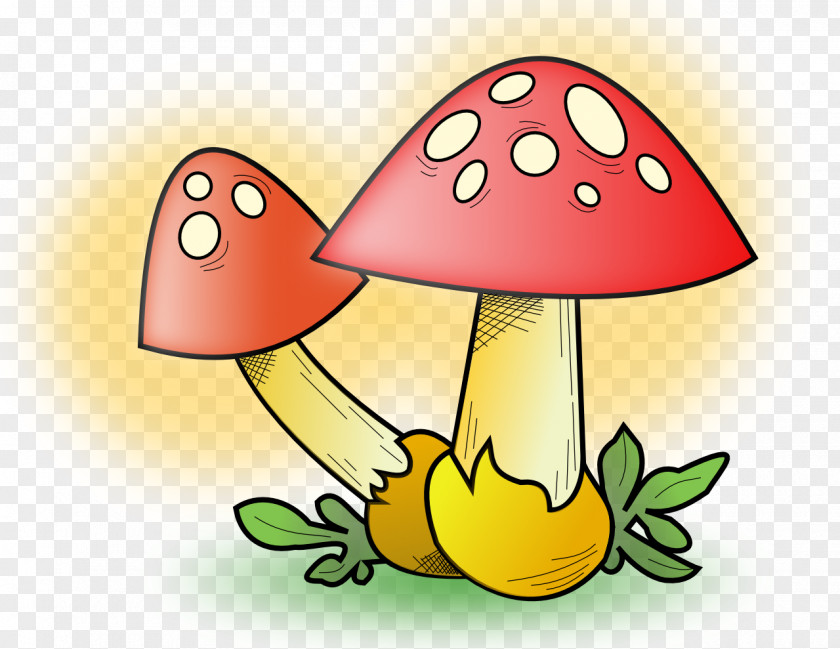 Fungi Common Mushroom Clip Art PNG