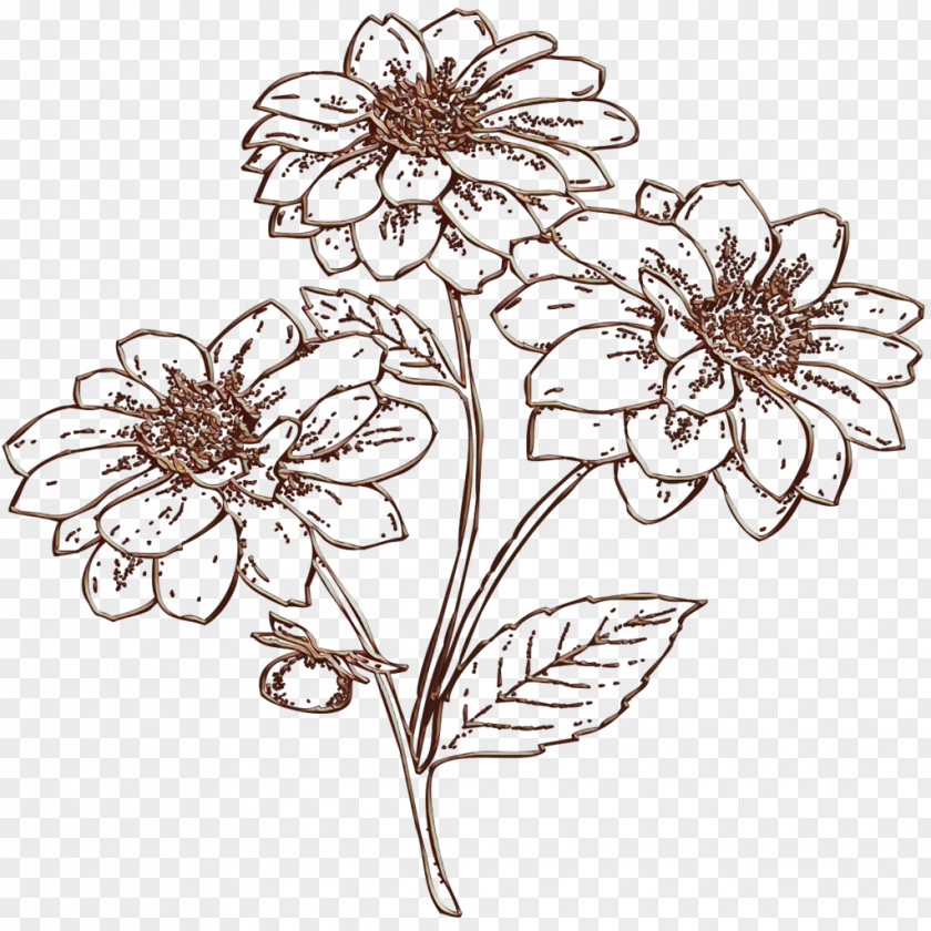Plant Stem Herbaceous Bouquet Of Flowers Drawing PNG