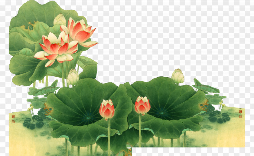 Beautiful Fresh Lotus Bud China Chinese Painting Gongbi Bird-and-flower PNG