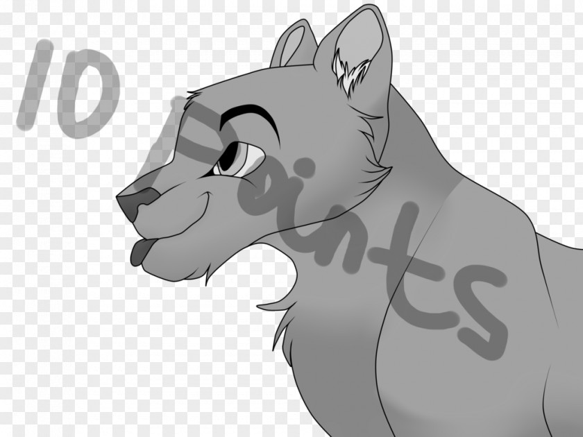 Cat Whiskers Dog Horse Snout PNG