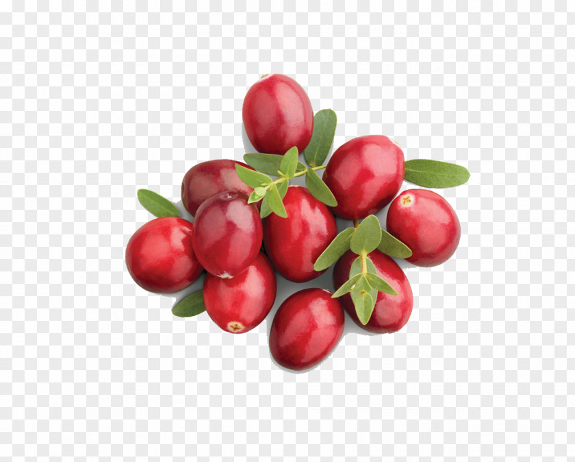 Dates Barbados Cherry Organic Food Cranberry Juice Apple PNG