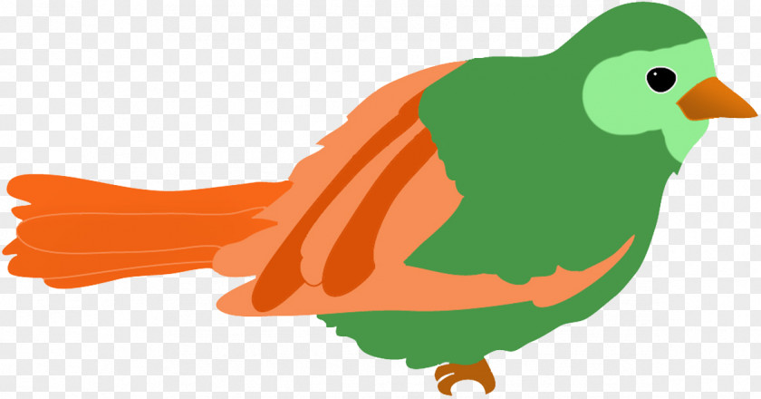 Green Orange Bird Sparrow Drawing Clip Art PNG