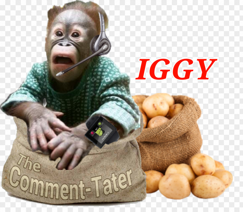 Monkey Pet Gorilla Image Bananas PNG