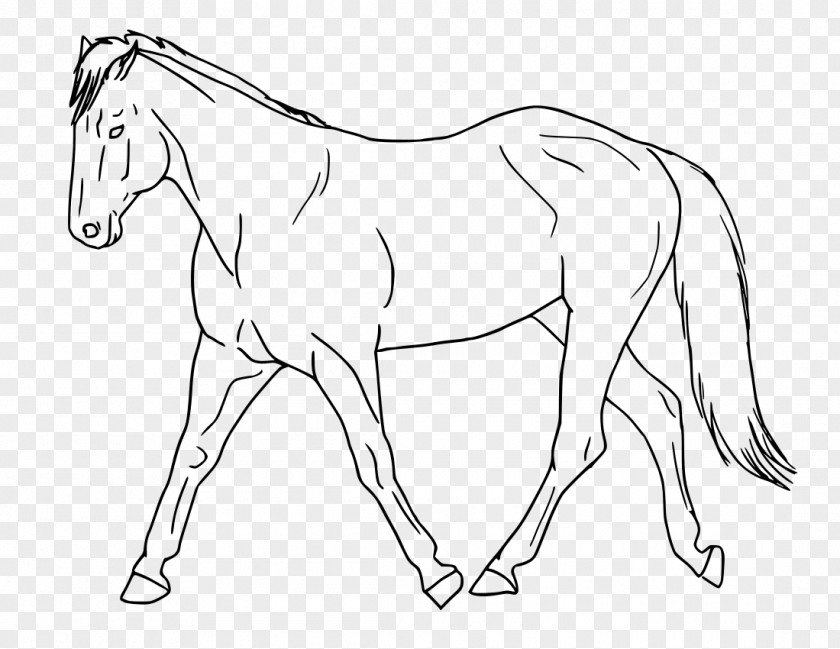 Mustang Mule Foal Stallion Clip Art PNG