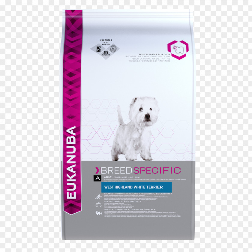 Puppy West Highland White Terrier Jack Russell Eukanuba Dog Food PNG