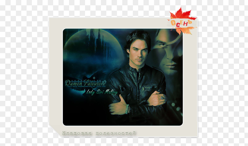 Vampire Damon Salvatore Elena Gilbert Stefan Actor PNG