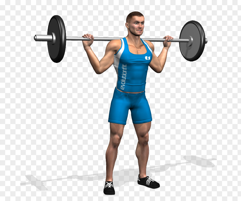 Barbell Dumbbell Bench Weight Training Squat PNG