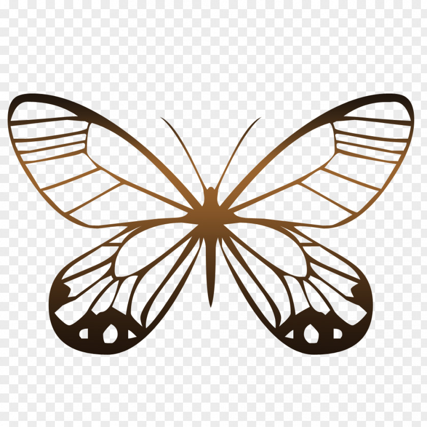 Butterfly Animation Photography PNG