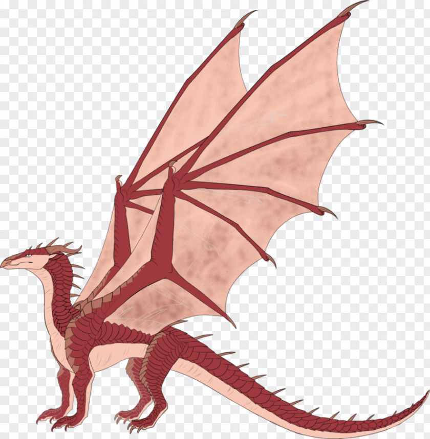 Dragon Wings Of Fire Darkness Dragons Drawing Art PNG